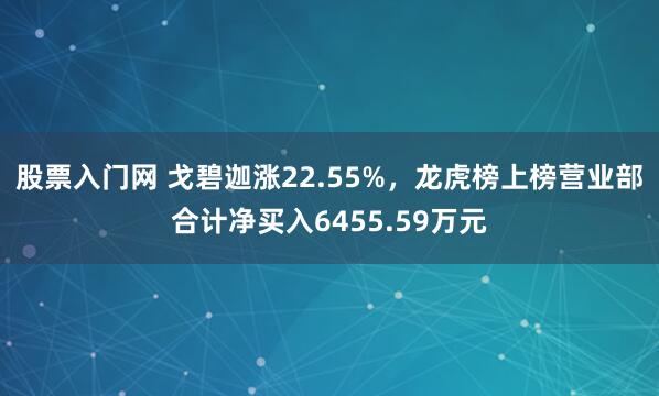 股票入门网 戈碧迦涨22.55%，龙虎榜上榜营业部合计净买入6455.59万元