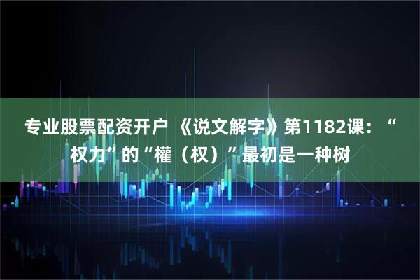 专业股票配资开户 《说文解字》第1182课：“权力”的“權（权）”最初是一种树