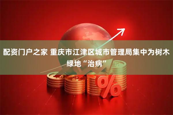 配资门户之家 重庆市江津区城市管理局集中为树木绿地“治病”